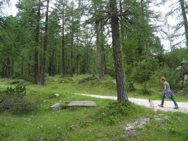 Catena dei Lagorai...da Pergine al Passo del Manghen